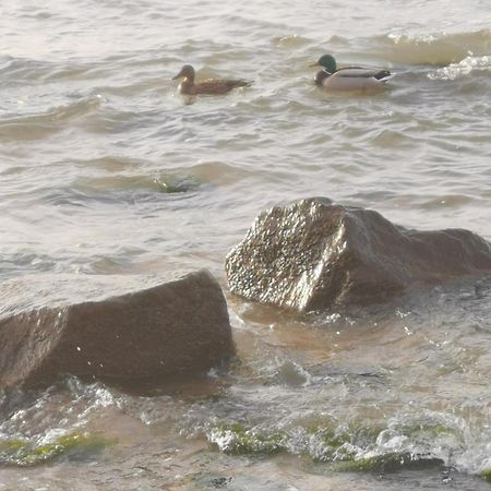 شقة Kajuta Bosmana Huka Debina  المظهر الخارجي الصورة